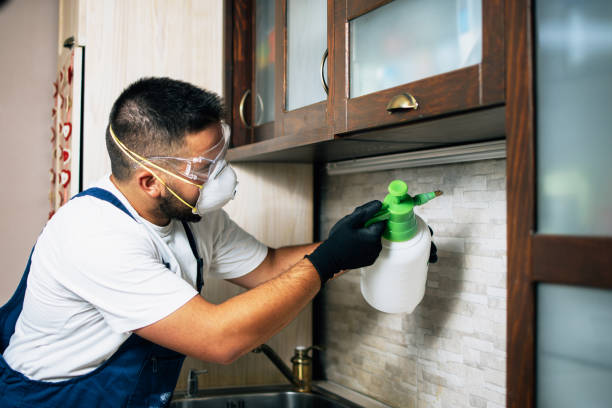 Best Emergency Pest Control  in Las Lomas, TX