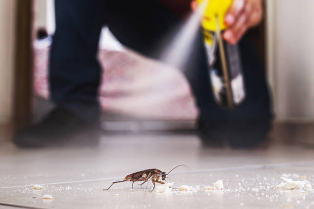 Best Best Pest Control Companies  in Las Lomas, TX