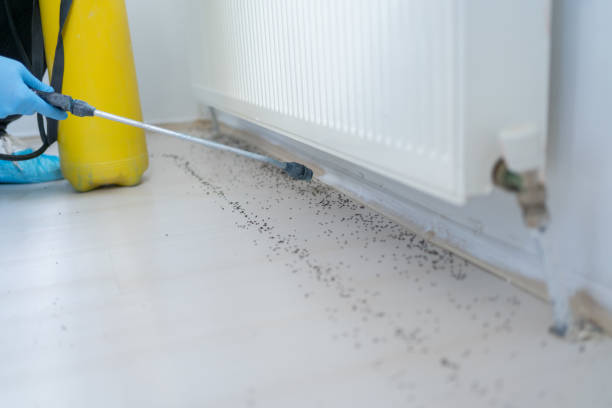 Best Exterminator Services  in Las Lomas, TX