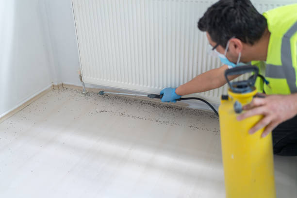 Best Pest Control Near Me in Las Lomas, TX